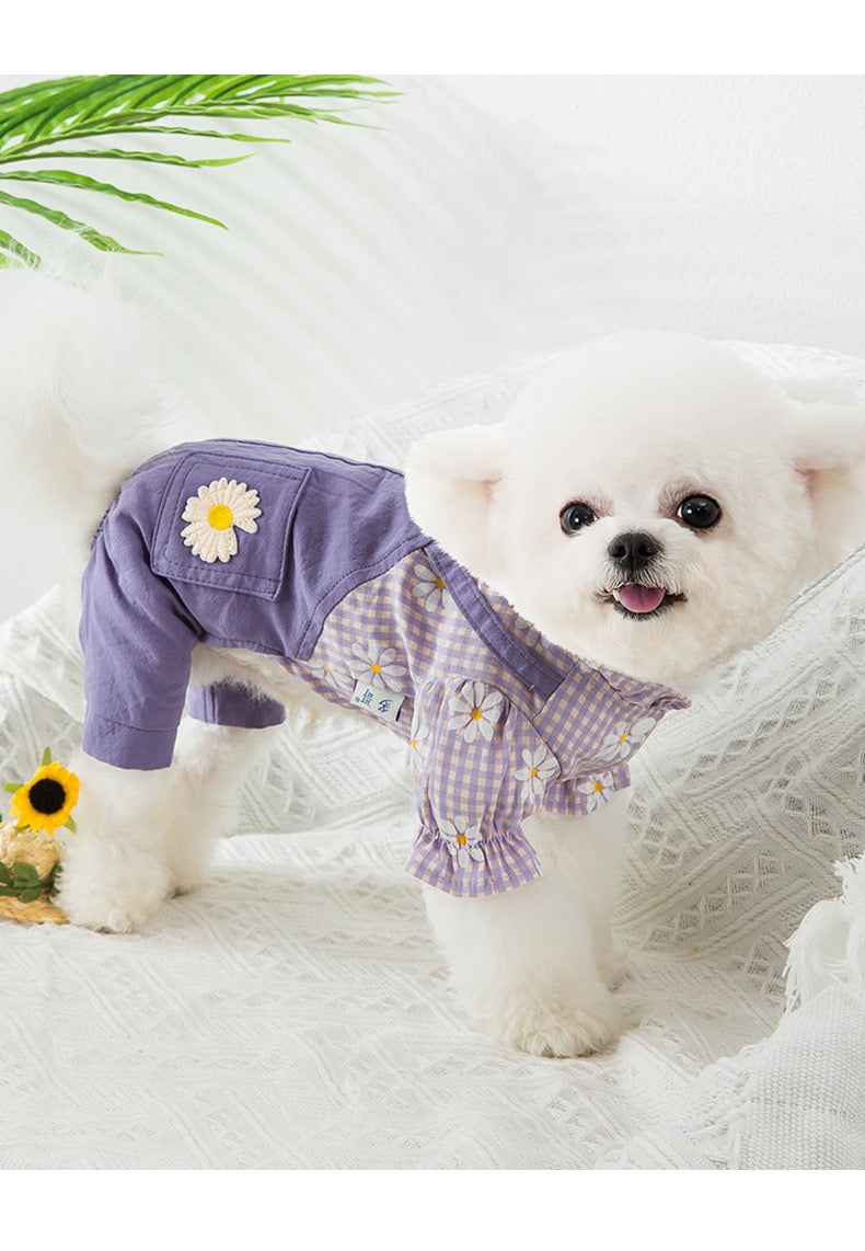 【ペット服】可愛い春新作かわいい犬服 （小型犬/中型犬/大型犬）P0274