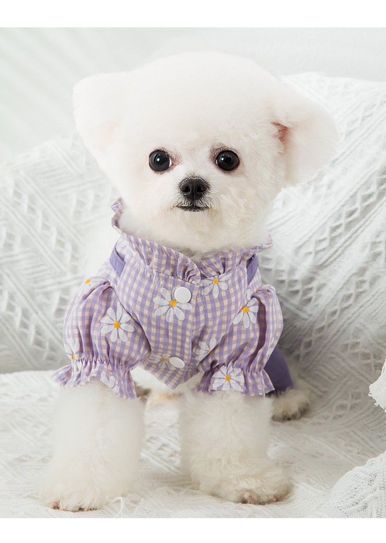 【ペット服】可愛い春新作かわいい犬服 （小型犬/中型犬/大型犬）P0274