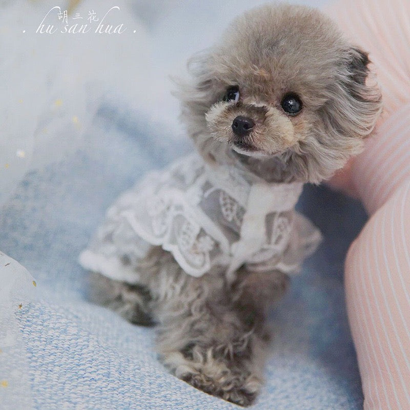 【ペット服】可愛い春新作かわいい犬服 （小型犬/中型犬/大型犬）P0297