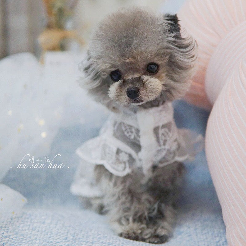 【ペット服】可愛い春新作かわいい犬服 （小型犬/中型犬/大型犬）P0297