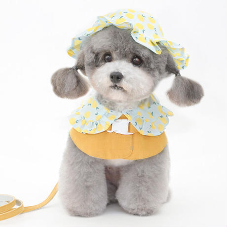 【ペット服】Pettrip 犬用帽子/ドッググッズ（小型犬/中型犬/大型犬）H0017